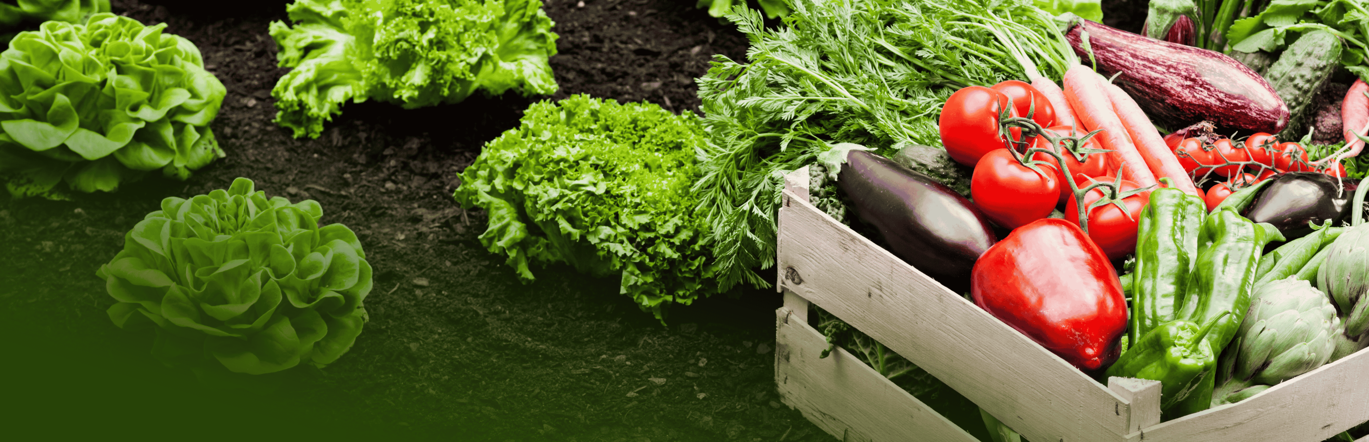 giam-dinh-nong-san-va-thuc-pham